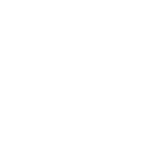 pe square logo transparent